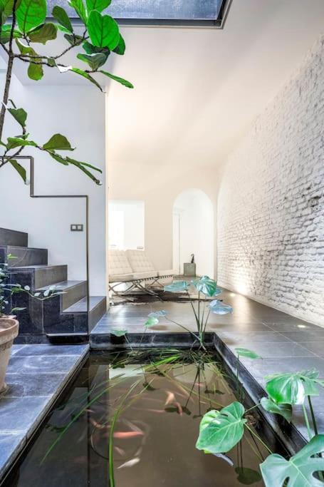 Exclusivo Apartamento De Diseno Centro Sevilla Matahacas Bajo Εξωτερικό φωτογραφία