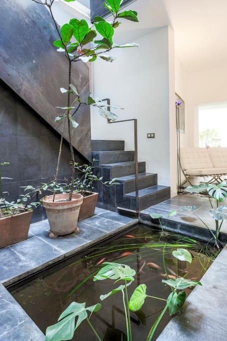 Exclusivo Apartamento De Diseno Centro Sevilla Matahacas Bajo Εξωτερικό φωτογραφία