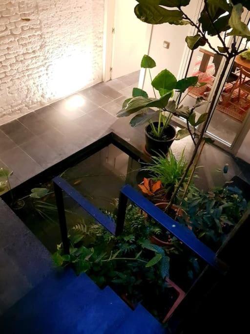 Exclusivo Apartamento De Diseno Centro Sevilla Matahacas Bajo Εξωτερικό φωτογραφία