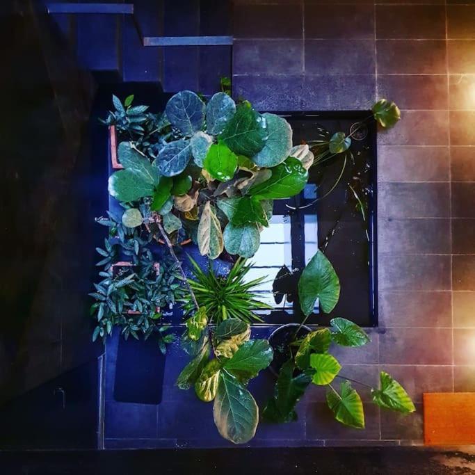 Exclusivo Apartamento De Diseno Centro Sevilla Matahacas Bajo Εξωτερικό φωτογραφία